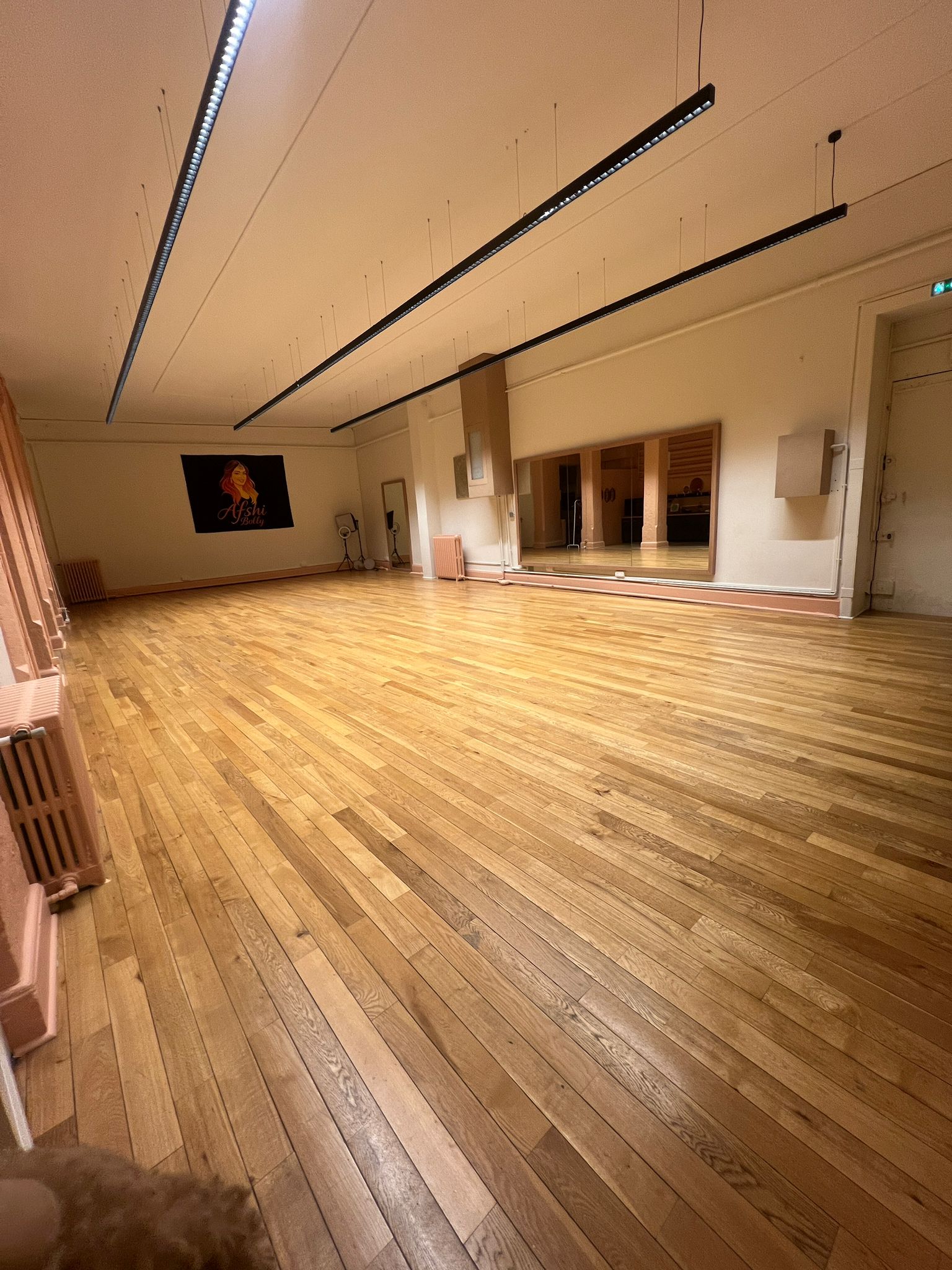 Salle Palais de Rani 1